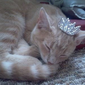 Meet your Posher, Jordan